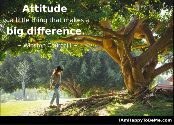 Attitude Difference